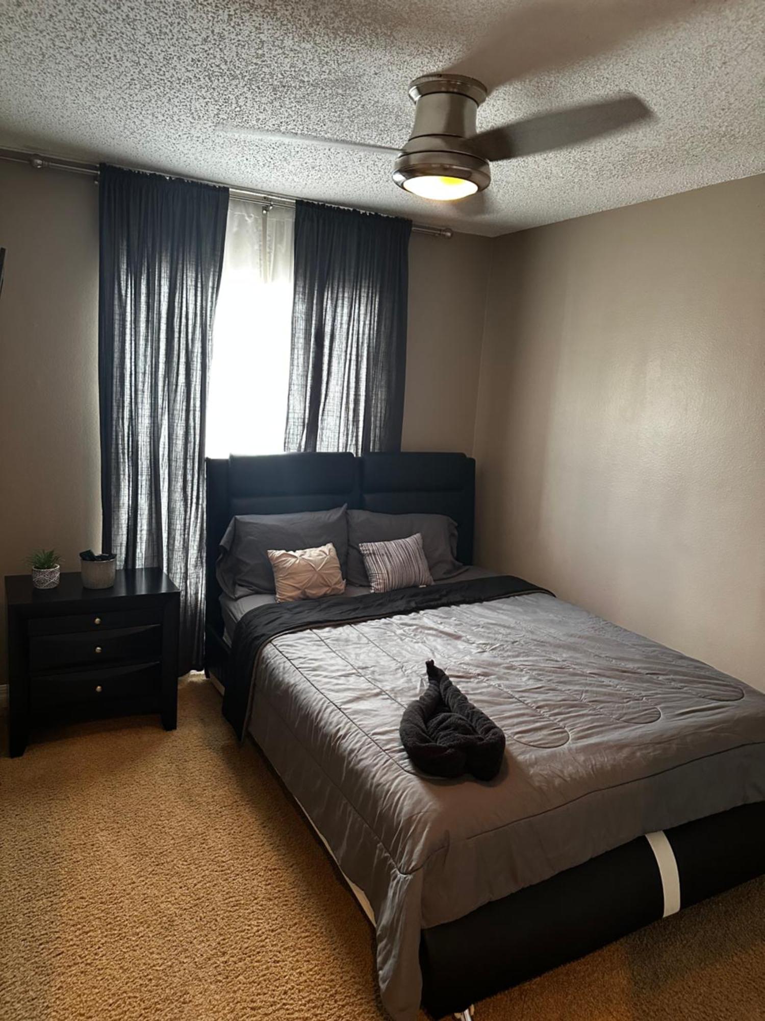 Cozy 3 Bedroom Home Close To Everything In Tampa! Экстерьер фото